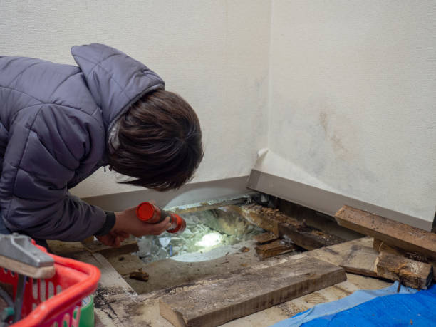 Best Comprehensive Air Testing for Mold Contaminants  in Dalton Gardens, ID