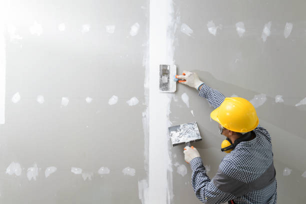 Best Water Damage & Mold Remediation  in Dalton Gardens, ID
