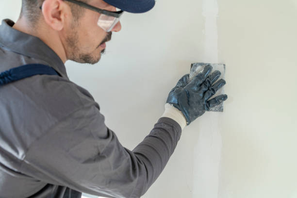 Best Asbestos and Lead Testing During Mold Inspection  in Dalton Gardens, ID