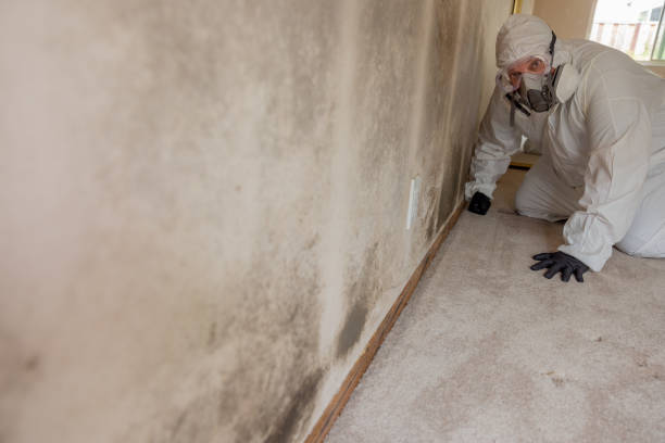 Best Air Quality Testing for Mold Spores  in Dalton Gardens, ID