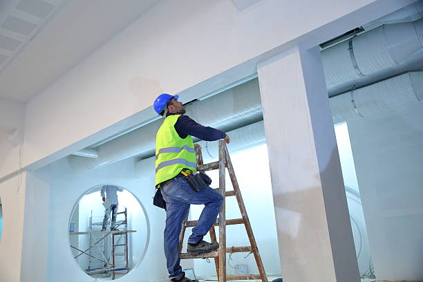Best Emergency Mold Remediation  in Dalton Gardens, ID