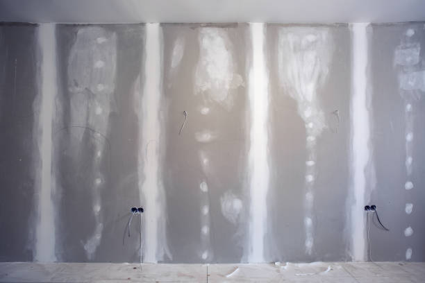 Best Black Mold Removal  in Dalton Gardens, ID