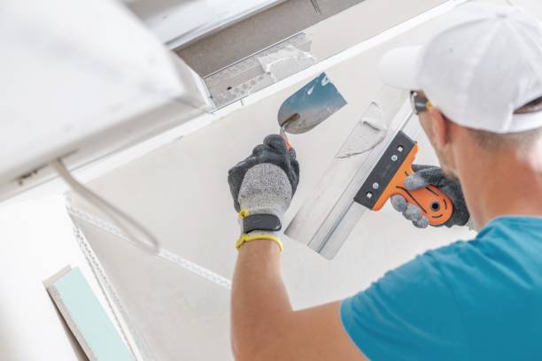 Best Air Quality Testing for Mold Spores  in Dalton Gardens, ID